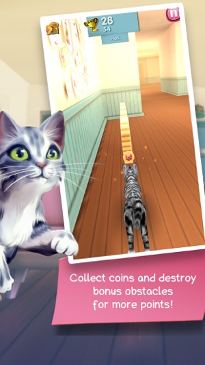 Cat Run - Cats on the go(圖3)-速報App