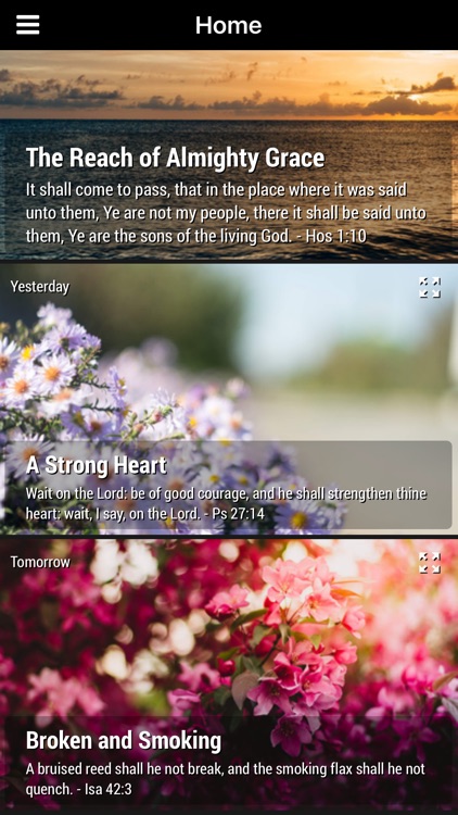 God's Promises - Faith's Checkbook Daily Devotional (Lite)