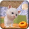 You can play as a cute cat in this cat simulator 3d game