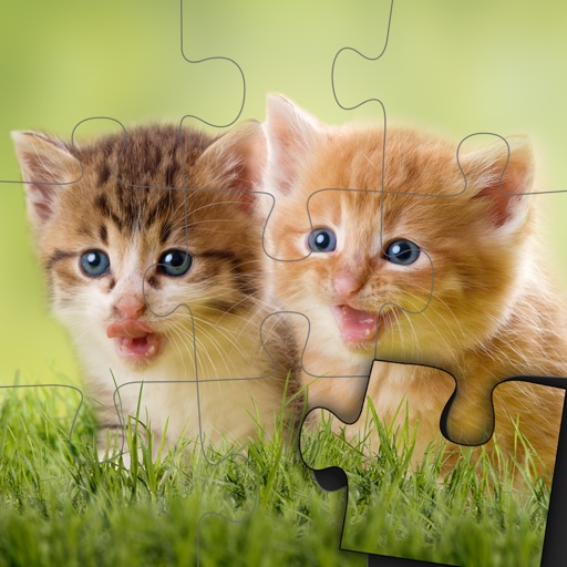 Kids Cats & Dogs Jigsaw Puzzles - Adorable kittens and puppies game for toddlers, boys and girls Icon