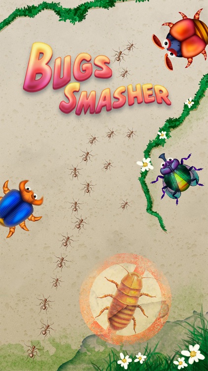 The Bugs Smasher