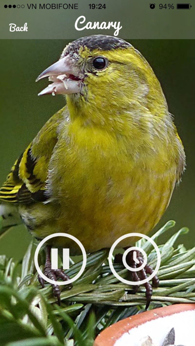 How to cancel & delete Bird Sounds -Bird relax,sleep Sounds from iphone & ipad 3