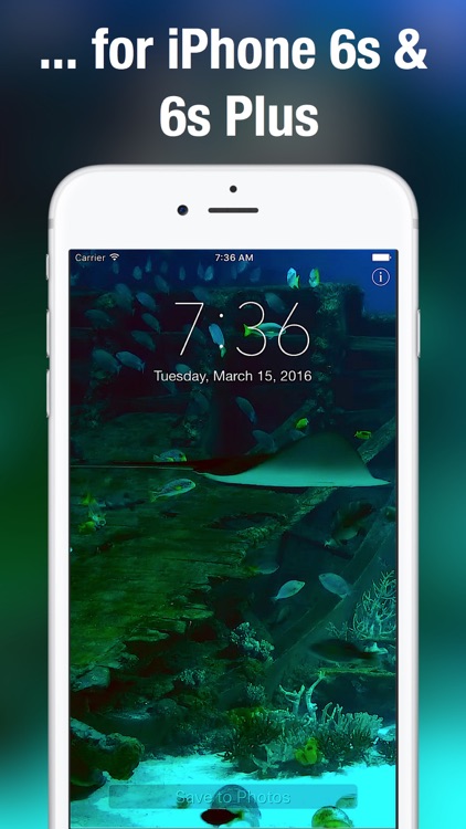 Aquarium Live Wallpapers for Lock Screen: Animated backgrounds for iPhone screenshot-4