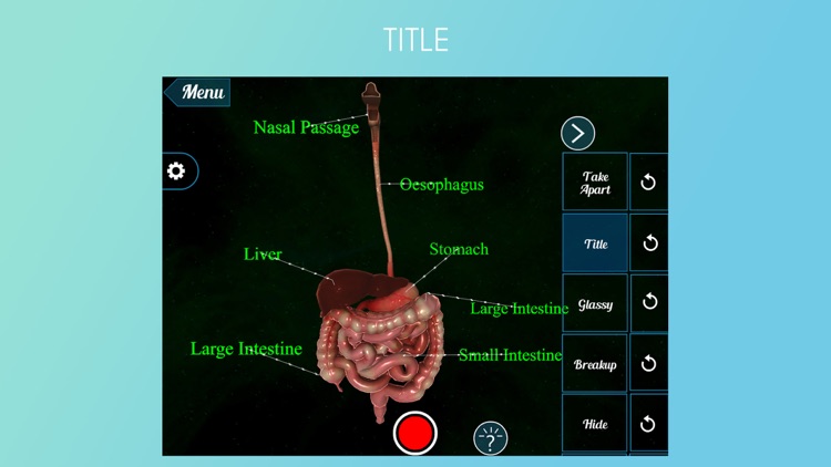 Human Alimentary Canal 3D