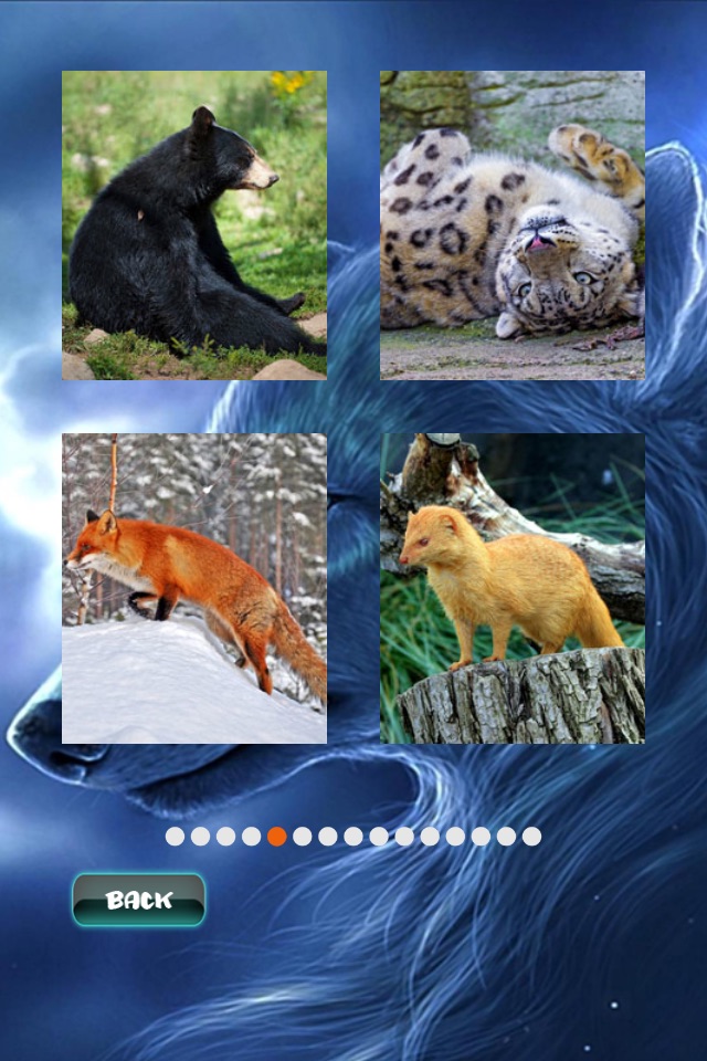 Animals Jigsaw Puzzle screenshot 2