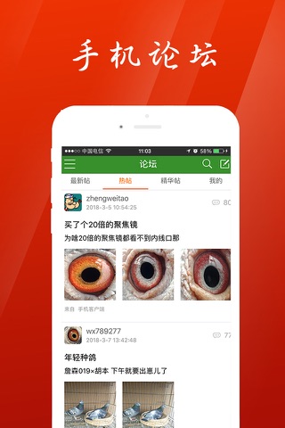 中国信鸽信息网chinaxinge.com screenshot 4