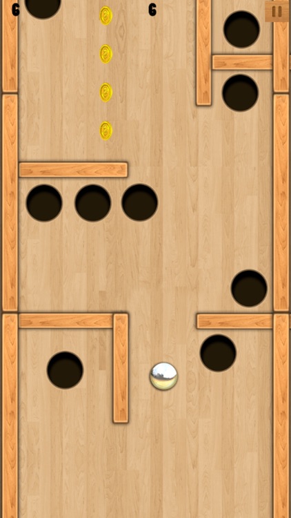 Wood Labyrinth Infinity