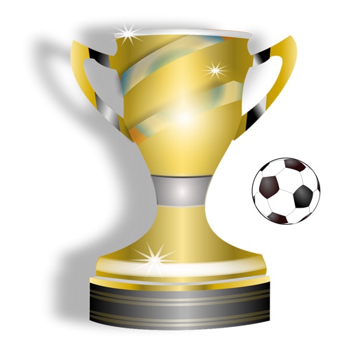 Tournament Soccer