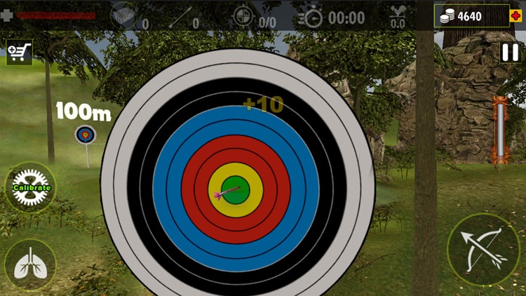 Real Archery King : Top Free Archery Shooting Game