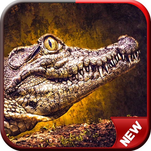 Alligator Hunter Challenge Pro Icon