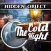 The Cold Night Investigation
