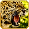 A Bloody Leopard Rampage Hunting - Best Leopard Assault Hunter Version
