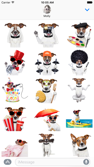 Jack the Terrier - Dog Sticker(圖1)-速報App