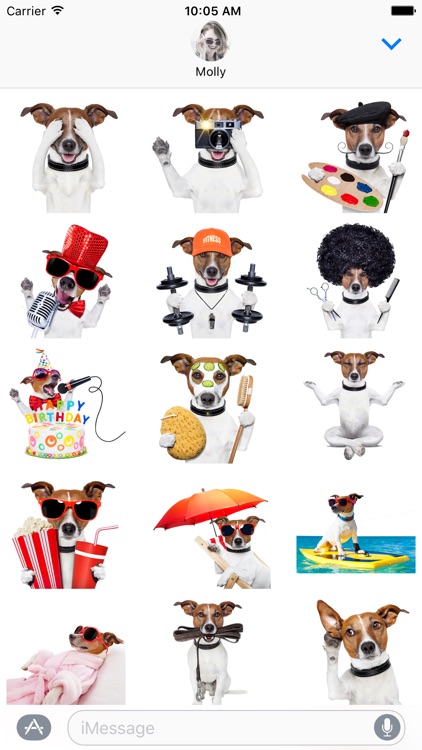 Jack the Terrier - Dog Sticker