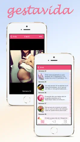Game screenshot Gestavida PHR: Pregnancy tracker apk