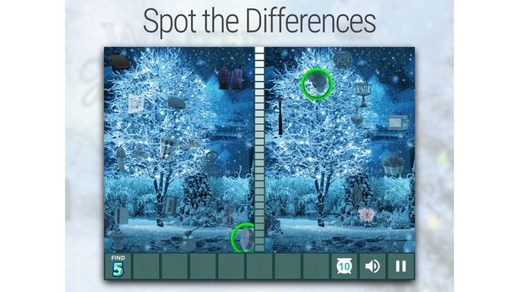 Hidden Difference - Winter Wonderland