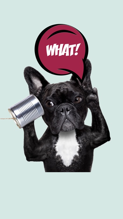 Frenchie Stickers