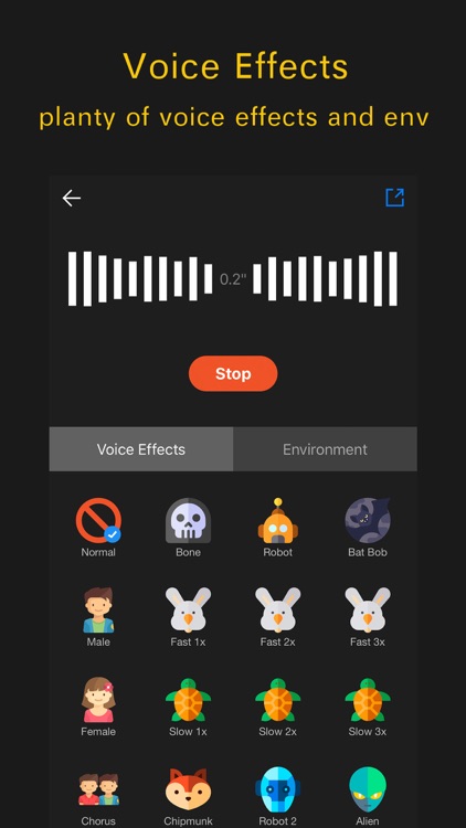 Voice Changer Recorder