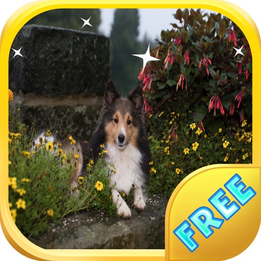 Spot The Difference Dog Games iOS App
