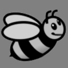 Activities of SaveThisBee