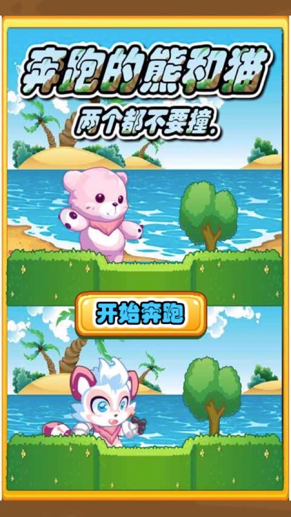 Wild bear-bear family