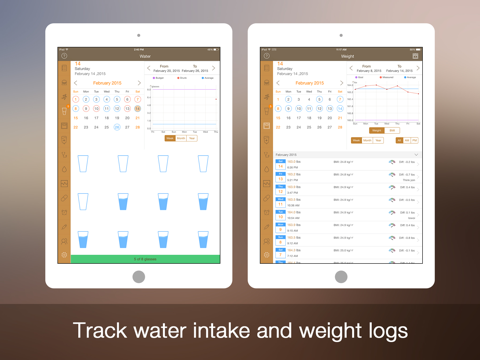 Daily Carb for iPad - Glucose Control and Tracker - náhled