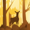 Wildfulness 2 - Relaxing Nature Scenes & Sounds