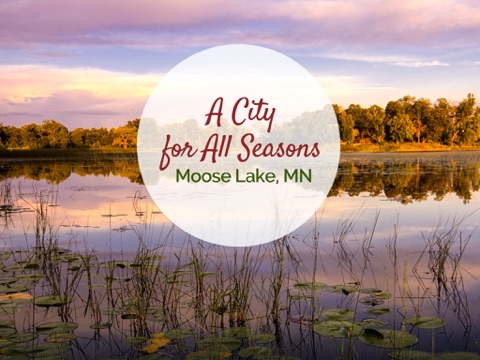 City of Moose Lake - náhled