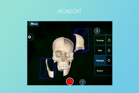 Virtual Reality(VR) Human Skull screenshot 3