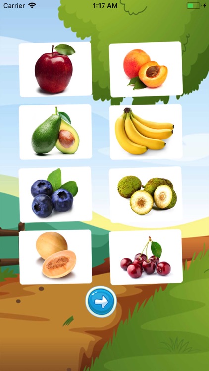 Fruit English Vocabulary Sound screenshot-4