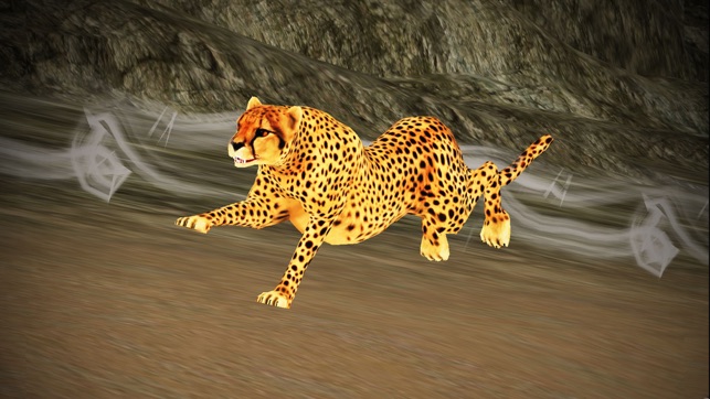 Deadly Wild Cheetah - Sniper 3D Hunting Safari(圖3)-速報App