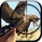 Eagle Hunter Sniper Shooter Pro