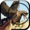 The hunting fever is at the high so grab the hunting gun and go for a duck hunt and eagle Hunt