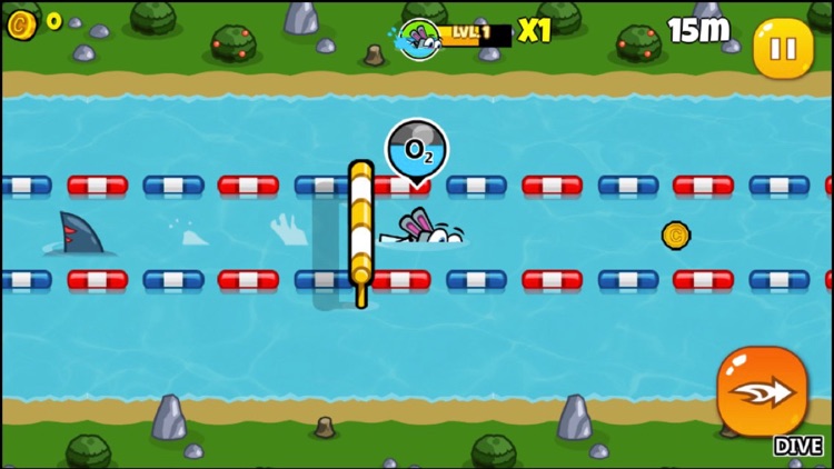 Forest games-start exercise