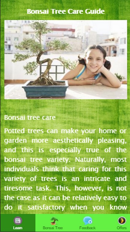 Bonsai Tree Care Guide