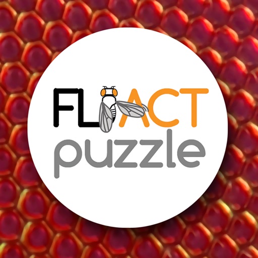 CRG FliActPuzzle iOS App