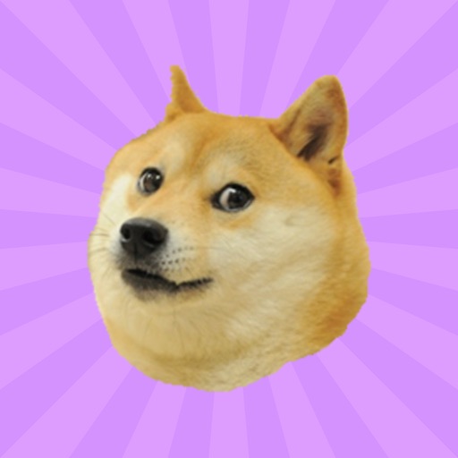 SIMON Doge - The memory game for Apple Watch icon