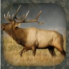 Icon Elk Hunting Calls