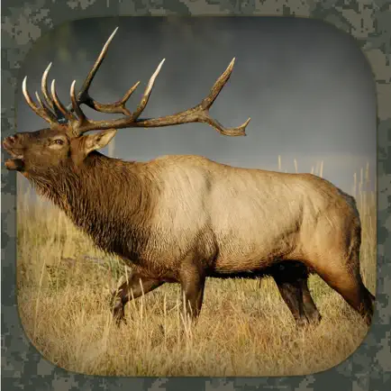 Elk Hunting Calls Читы