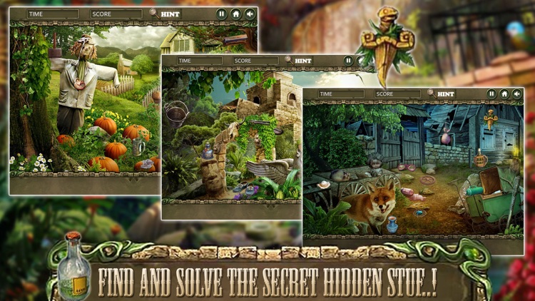 Find Hidden Secret Spot : Hidden Object