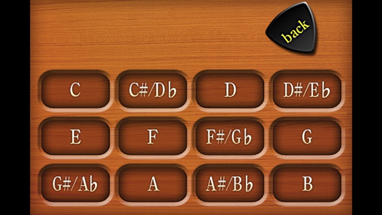 GUITAR CHORD (Basic)