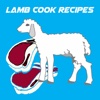 Lamb Cook Recipes