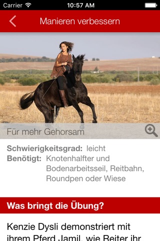 Cavallo ReitCoach screenshot 4