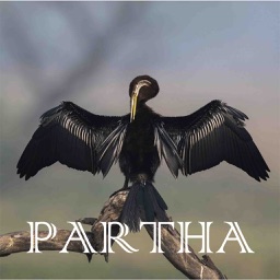 Partha Photography