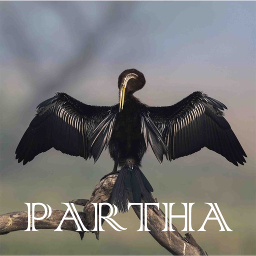 Partha Photography