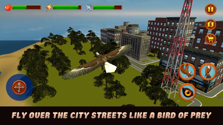 City Eagle Simulator 3D Full