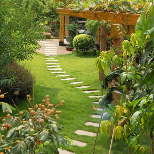 Yard and Garden Design Ideas & Gardening Ideas icon