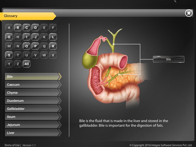 Human Anatomy Explorer - Digestive System