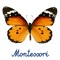Montessori Preschool Scrapbook Puzzle 123 Kids Fun is an educational arts and crafts puzzle app which will inspire children of all ages to create pictures, toys and dioramas from common things that can be found during the autumn/fall