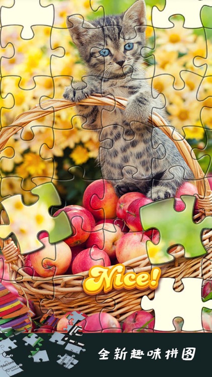 Jigsaw puzzle game-Create your own Photo Puzzle